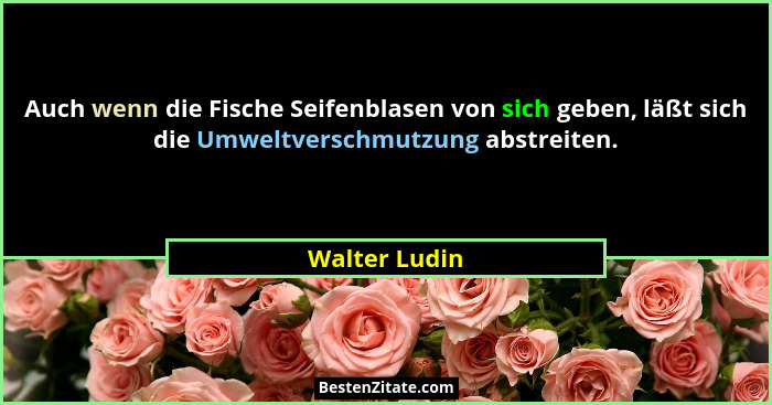 Auch wenn die Fische Seifenblasen von sich geben, läßt sich die Umweltverschmutzung abstreiten.... - Walter Ludin