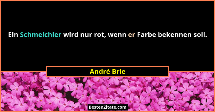 Ein Schmeichler wird nur rot, wenn er Farbe bekennen soll.... - André Brie