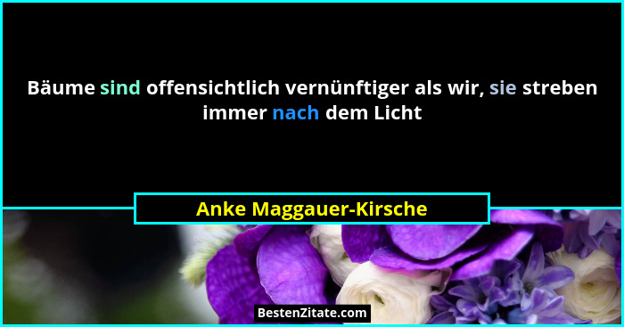 Bäume sind offensichtlich vernünftiger als wir, sie streben immer nach dem Licht... - Anke Maggauer-Kirsche