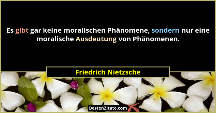 Es gibt gar keine moralischen Phänomene, sondern nur eine moralische Ausdeutung von Phänomenen.... - Friedrich Nietzsche