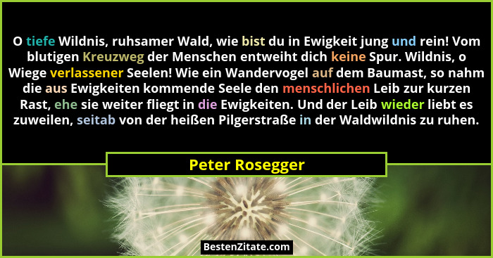 O tiefe Wildnis, ruhsamer Wald, wie bist du in Ewigkeit jung und rein! Vom blutigen Kreuzweg der Menschen entweiht dich keine Spur. W... - Peter Rosegger