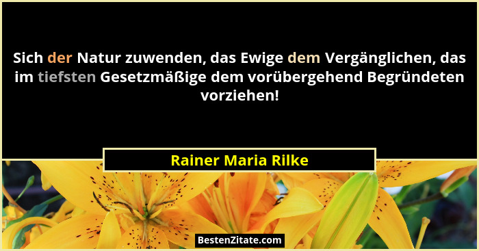 Sich der Natur zuwenden, das Ewige dem Vergänglichen, das im tiefsten Gesetzmäßige dem vorübergehend Begründeten vorziehen!... - Rainer Maria Rilke
