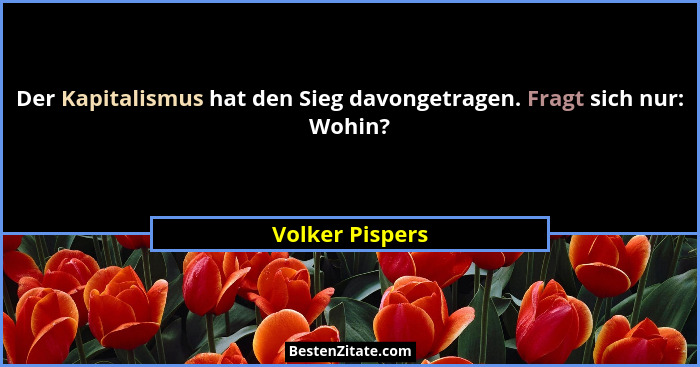 Der Kapitalismus hat den Sieg davongetragen. Fragt sich nur: Wohin?... - Volker Pispers