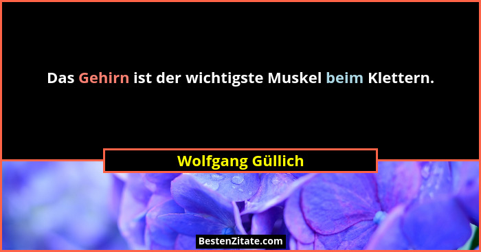 Das Gehirn ist der wichtigste Muskel beim Klettern.... - Wolfgang Güllich