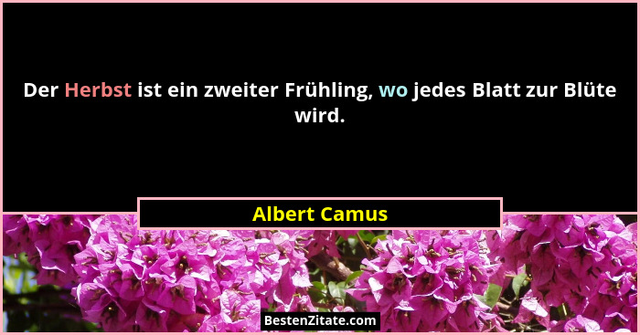 Der Herbst ist ein zweiter Frühling, wo jedes Blatt zur Blüte wird.... - Albert Camus