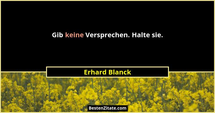 Gib keine Versprechen. Halte sie.... - Erhard Blanck