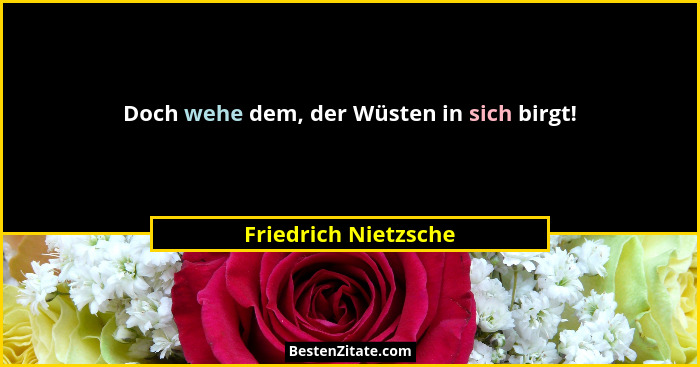 Doch wehe dem, der Wüsten in sich birgt!... - Friedrich Nietzsche
