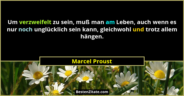 Um verzweifelt zu sein, muß man am Leben, auch wenn es nur noch unglücklich sein kann, gleichwohl und trotz allem hängen.... - Marcel Proust