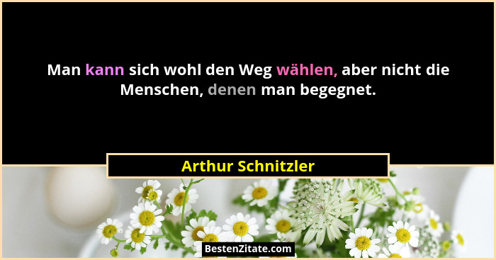 Man kann sich wohl den Weg wählen, aber nicht die Menschen, denen man begegnet.... - Arthur Schnitzler