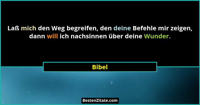Laß mich den Weg begreifen, den deine Befehle mir zeigen, dann will ich nachsinnen über deine Wunder.... - Bibel