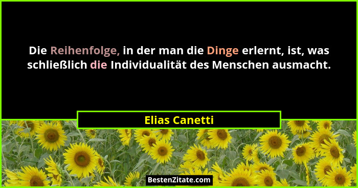 Die Reihenfolge, in der man die Dinge erlernt, ist, was schließlich die Individualität des Menschen ausmacht.... - Elias Canetti