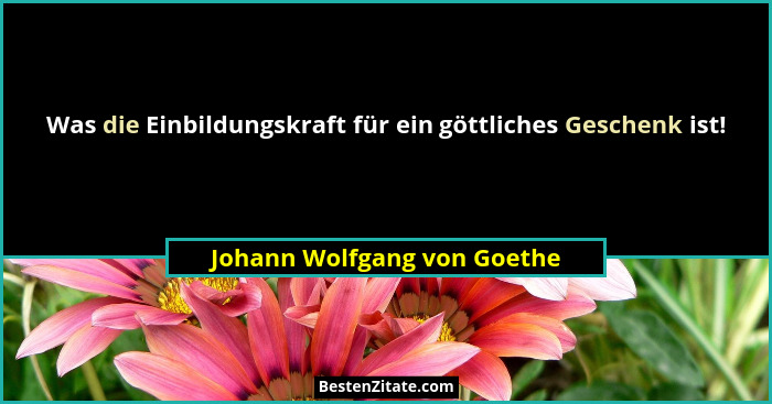 Was die Einbildungskraft für ein göttliches Geschenk ist!... - Johann Wolfgang von Goethe