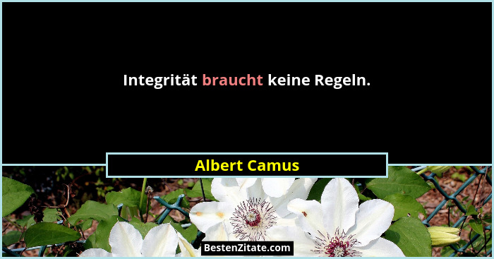 Integrität braucht keine Regeln.... - Albert Camus