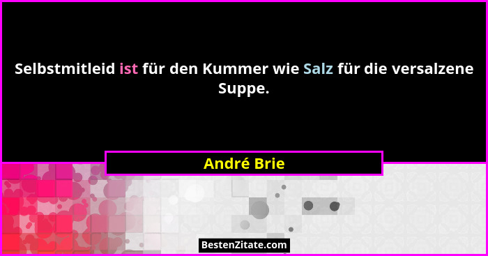 Selbstmitleid ist für den Kummer wie Salz für die versalzene Suppe.... - André Brie