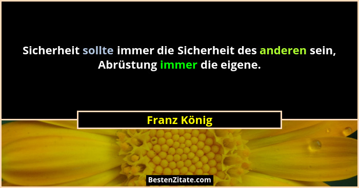 Sicherheit sollte immer die Sicherheit des anderen sein, Abrüstung immer die eigene.... - Franz König