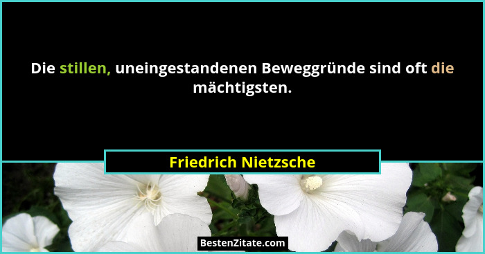 Die stillen, uneingestandenen Beweggründe sind oft die mächtigsten.... - Friedrich Nietzsche