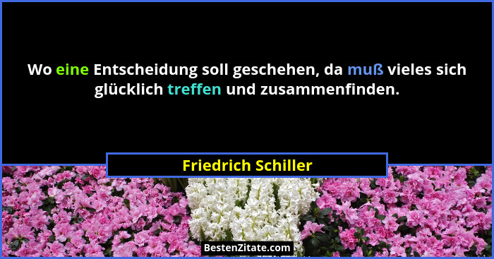 Wo eine Entscheidung soll geschehen, da muß vieles sich glücklich treffen und zusammenfinden.... - Friedrich Schiller