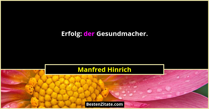 Erfolg: der Gesundmacher.... - Manfred Hinrich