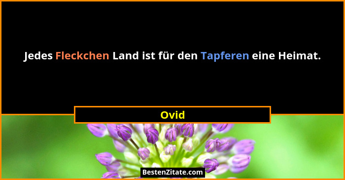 Jedes Fleckchen Land ist für den Tapferen eine Heimat.... - Ovid