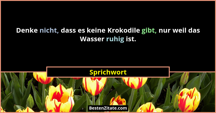 Denke nicht, dass es keine Krokodile gibt, nur weil das Wasser ruhig ist.... - Sprichwort