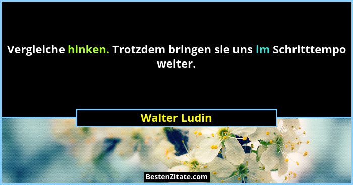 Vergleiche hinken. Trotzdem bringen sie uns im Schritttempo weiter.... - Walter Ludin