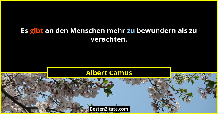 Es gibt an den Menschen mehr zu bewundern als zu verachten.... - Albert Camus