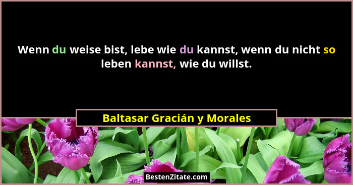 Wenn du weise bist, lebe wie du kannst, wenn du nicht so leben kannst, wie du willst.... - Baltasar Gracián y Morales
