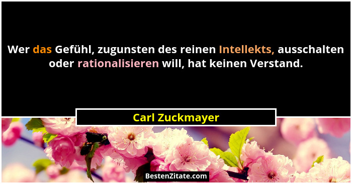 Wer das Gefühl, zugunsten des reinen Intellekts, ausschalten oder rationalisieren will, hat keinen Verstand.... - Carl Zuckmayer