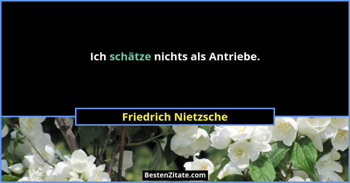 Ich schätze nichts als Antriebe.... - Friedrich Nietzsche
