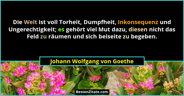 Die Welt ist voll Torheit, Dumpfheit, Inkonsequenz und Ungerechtigkeit; es gehört viel Mut dazu, diesen nicht das Feld zu... - Johann Wolfgang von Goethe