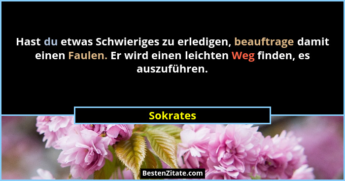 Hast du etwas Schwieriges zu erledigen, beauftrage damit einen Faulen. Er wird einen leichten Weg finden, es auszuführen.... - Sokrates