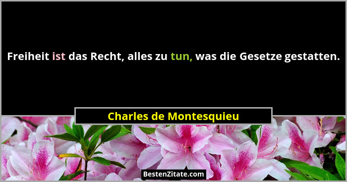 Freiheit ist das Recht, alles zu tun, was die Gesetze gestatten.... - Charles de Montesquieu