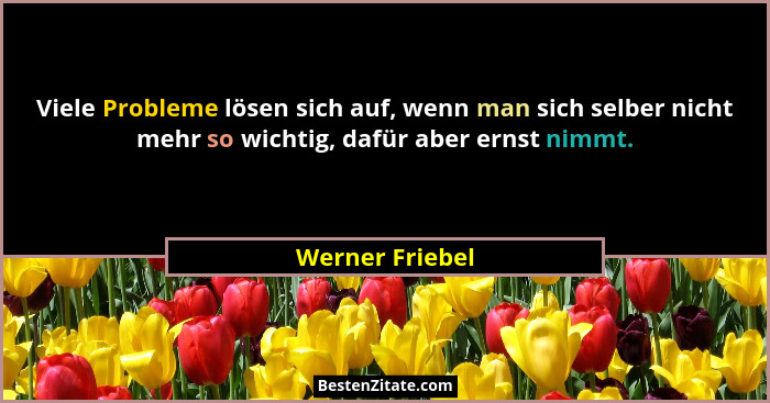 Viele Probleme lösen sich auf, wenn man sich selber nicht mehr so wichtig, dafür aber ernst nimmt.... - Werner Friebel