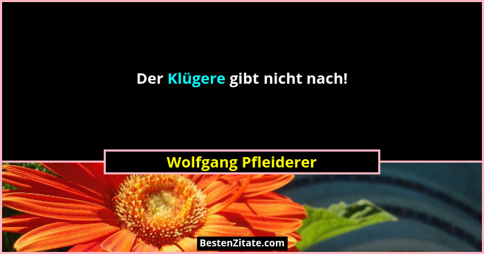 Der Klügere gibt nicht nach!... - Wolfgang Pfleiderer