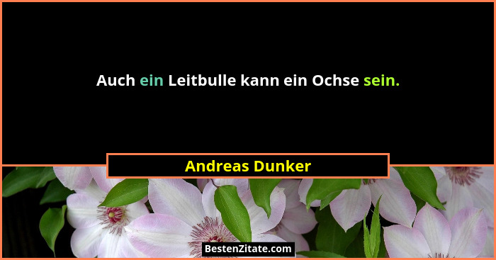 Auch ein Leitbulle kann ein Ochse sein.... - Andreas Dunker
