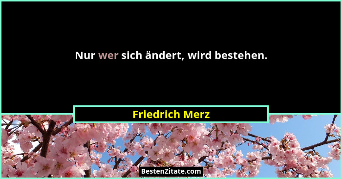 Nur wer sich ändert, wird bestehen.... - Friedrich Merz