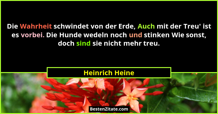 Die Wahrheit schwindet von der Erde, Auch mit der Treu' ist es vorbei. Die Hunde wedeln noch und stinken Wie sonst, doch sind sie... - Heinrich Heine