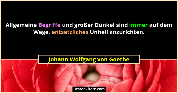 Allgemeine Begriffe und großer Dünkel sind immer auf dem Wege, entsetzliches Unheil anzurichten.... - Johann Wolfgang von Goethe