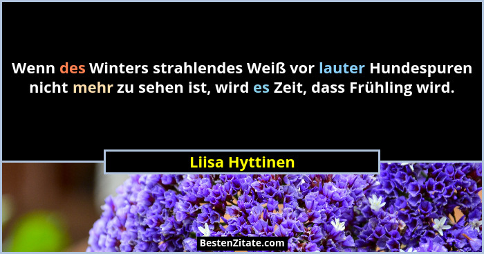 Wenn des Winters strahlendes Weiß vor lauter Hundespuren nicht mehr zu sehen ist, wird es Zeit, dass Frühling wird.... - Liisa Hyttinen