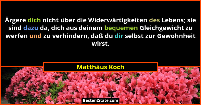 Ärgere dich nicht über die Widerwärtigkeiten des Lebens; sie sind dazu da, dich aus deinem bequemen Gleichgewicht zu werfen und zu ver... - Matthäus Koch