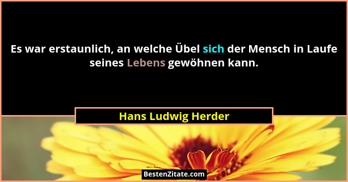 Es war erstaunlich, an welche Übel sich der Mensch in Laufe seines Lebens gewöhnen kann.... - Hans Ludwig Herder