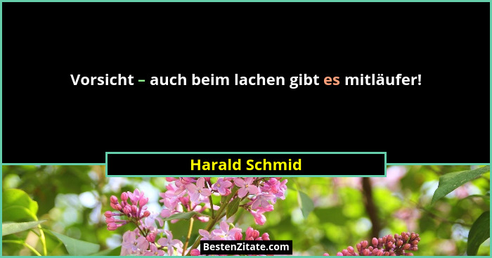 Vorsicht – auch beim lachen gibt es mitläufer!... - Harald Schmid