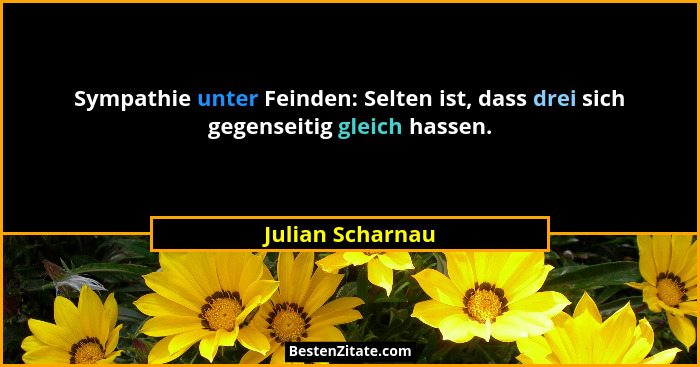 Sympathie unter Feinden: Selten ist, dass drei sich gegenseitig gleich hassen.... - Julian Scharnau