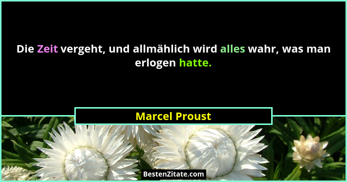Die Zeit vergeht, und allmählich wird alles wahr, was man erlogen hatte.... - Marcel Proust