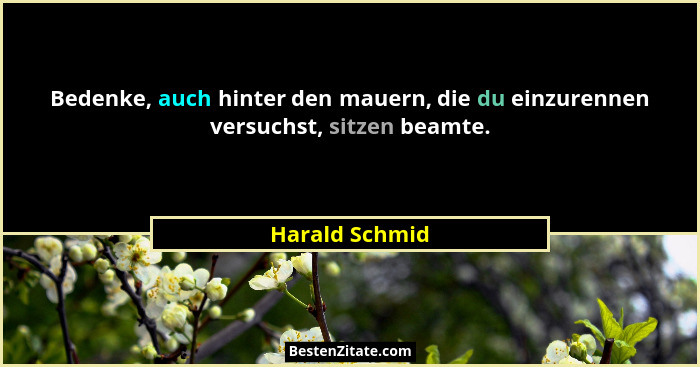 Bedenke, auch hinter den mauern, die du einzurennen versuchst, sitzen beamte.... - Harald Schmid