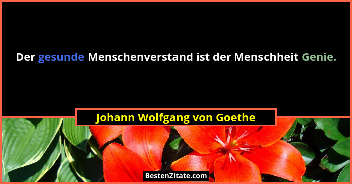 Der gesunde Menschenverstand ist der Menschheit Genie.... - Johann Wolfgang von Goethe