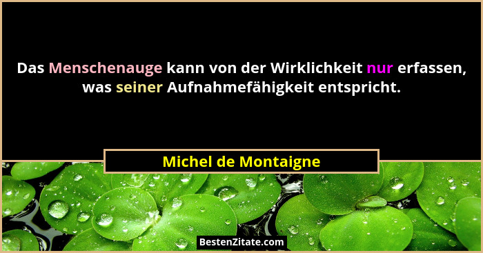Das Menschenauge kann von der Wirklichkeit nur erfassen, was seiner Aufnahmefähigkeit entspricht.... - Michel de Montaigne