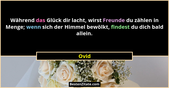 Während das Glück dir lacht, wirst Freunde du zählen in Menge; wenn sich der Himmel bewölkt, findest du dich bald allein.... - Ovid