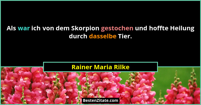 Als war ich von dem Skorpion gestochen und hoffte Heilung durch dasselbe Tier.... - Rainer Maria Rilke