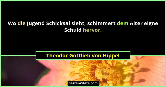 Wo die Jugend Schicksal sieht, schimmert dem Alter eigne Schuld hervor.... - Theodor Gottlieb von Hippel